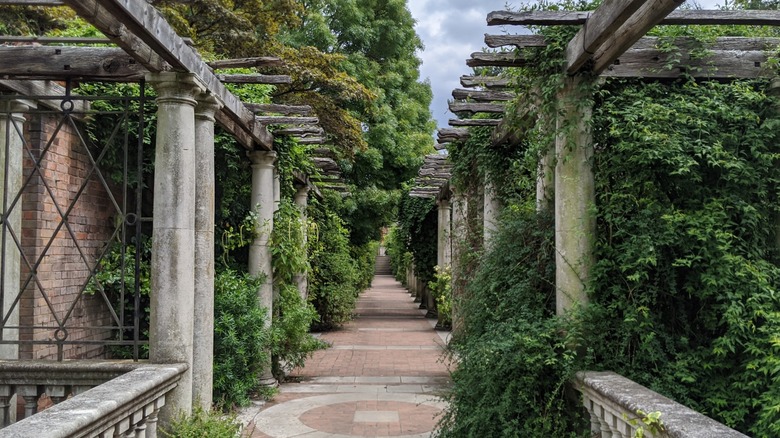 Greenery at The Hill Garden and Pergola
