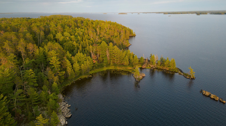 An aerial view of Rainy Lake and surrounding trees.