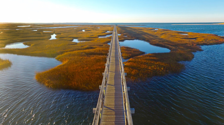 An aerial shot of the Bass Hole elevated boardwalk in Yarmouth, Massachusetts