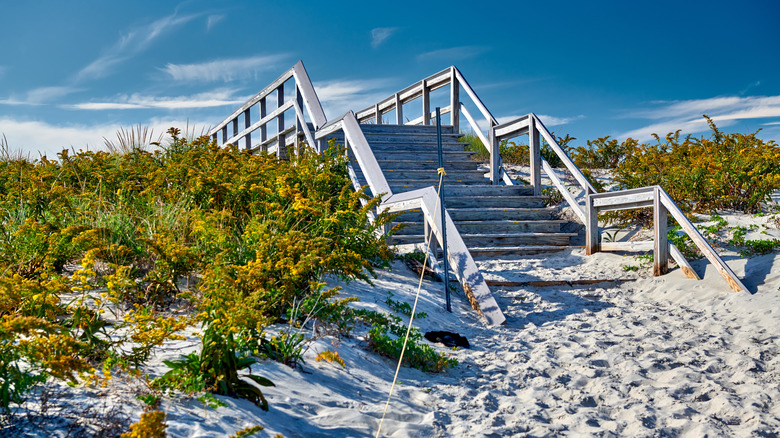 A bleached wooden staircase leading to the Crane Beach Dunes boardwalk in Ipswich, Massachusetts
