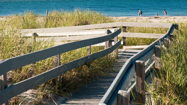 Beachcombers on the sand at the end of the Sandwich Boardwalk in Cape Cod, Massachusetts