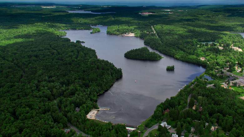 Aerial view of Lake Naomi, a chevron-shaped lake surrounded by green trees and homes with an island in the middle