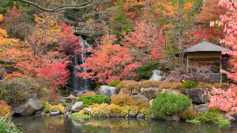 Anderson Japanese Gardens in fall