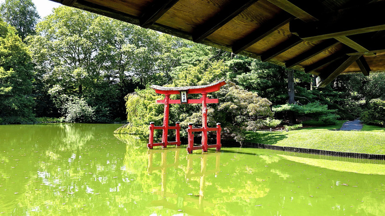 The torii gate in the Japanese Hill-and-Pond Garden