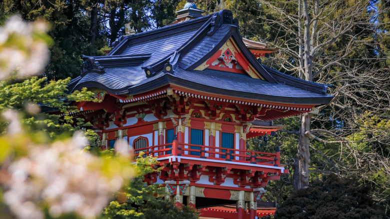 Sakura petals and the pagoda in San Francisco's Japanese Tea Garden