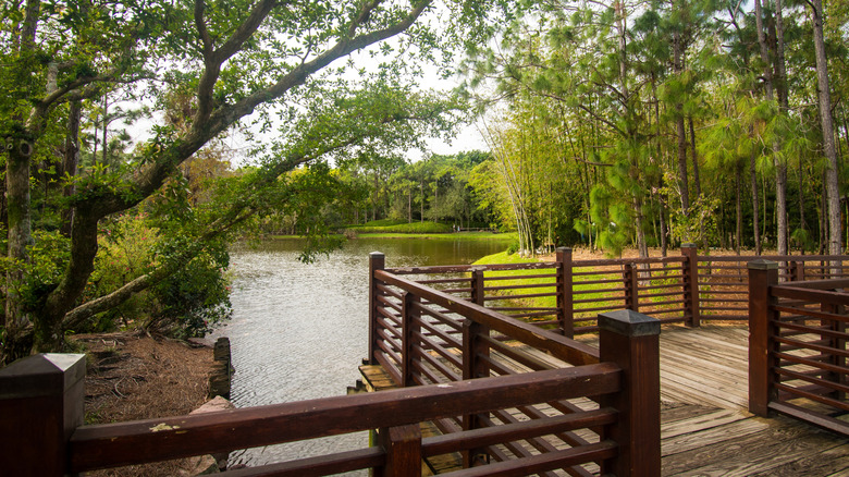 A zigzag bridge overlooking a pind in Roji-en