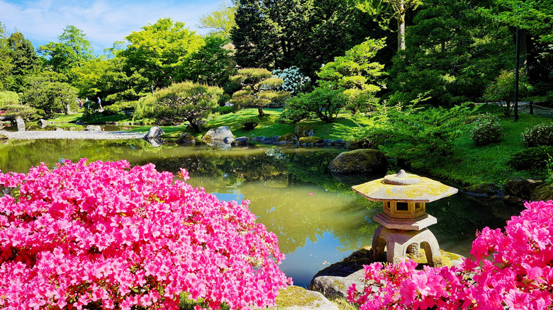 Seattle Japanese Garden
