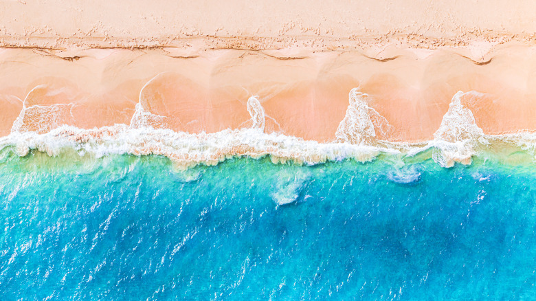 Caribbean Sea waves crashing on an idyllic pink sand beach in Barbuda.