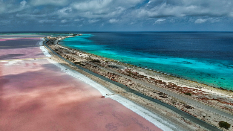 Aerial view of beaches and salt flats in south Bonaire