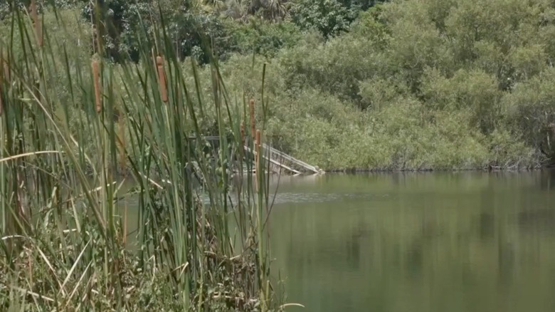 A view of Leeland Lake from ground level