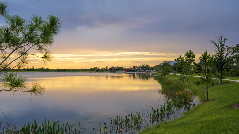 Sunset over a gorgeous lake in Florida.