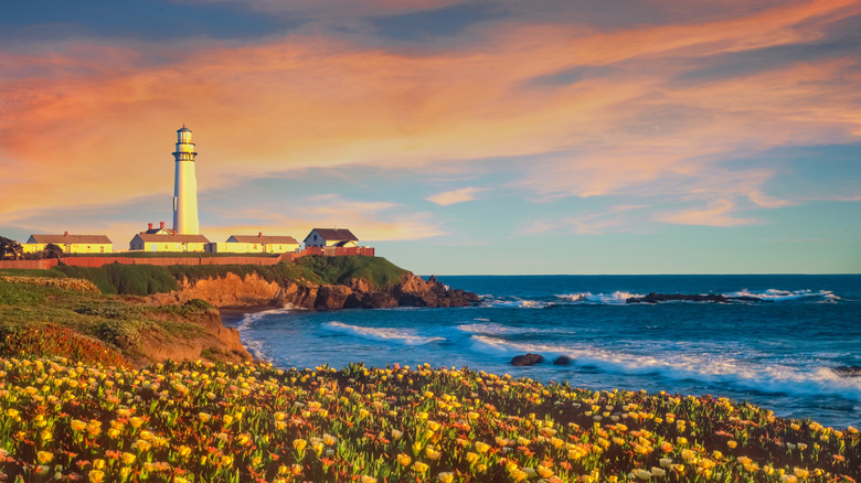 The Pigeon Point Lighthouse just along the coast from Pescadero, California