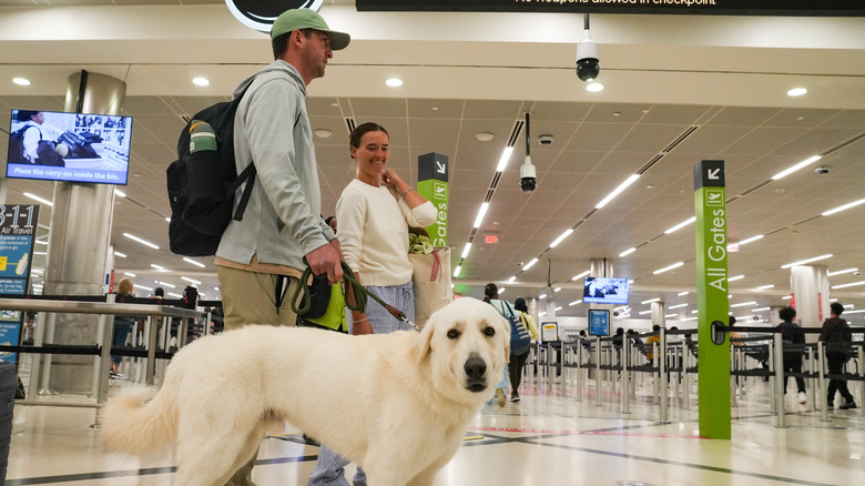 People (and a dog) in Hartsfield-Jackson Atlanta International Airport in Georgia