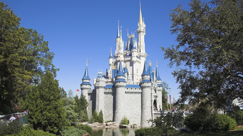 castle in Disney World