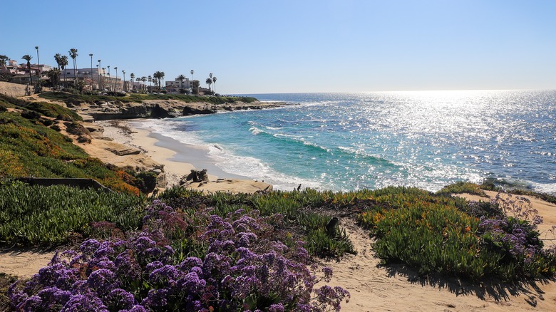 San Diego beach