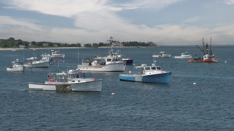 Fishing boats anchored on Cape Cod