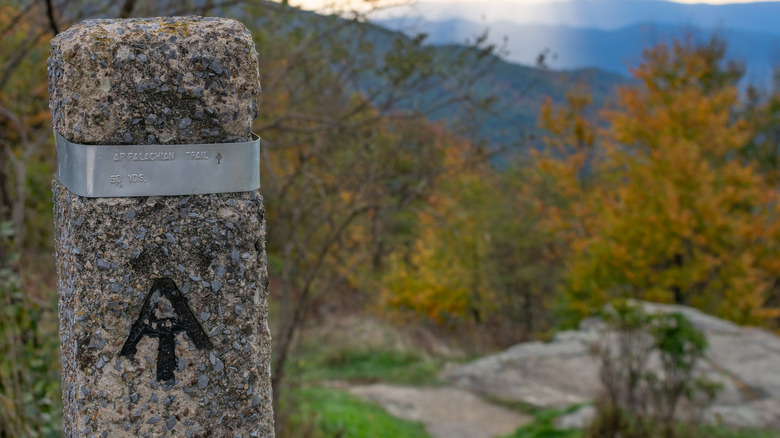 An Appalachian Trailhead marker in Shenandoah National Park