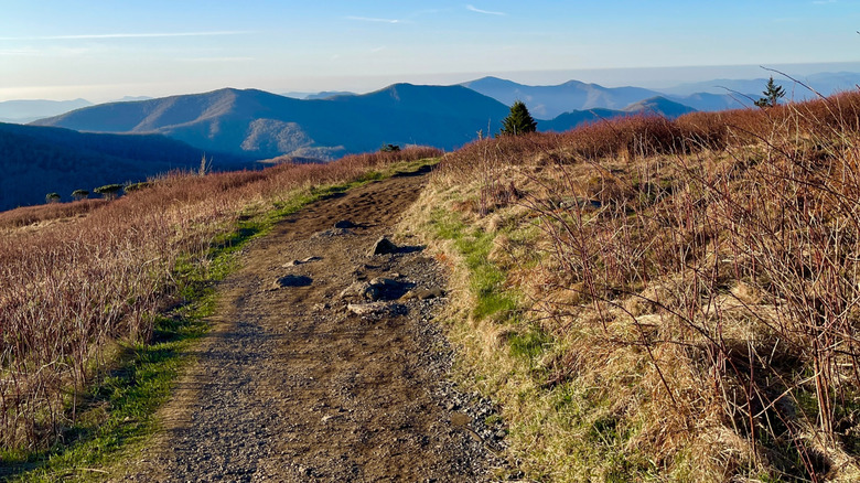 A hiking path at Roan Mountain State Park