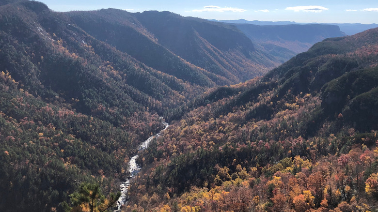 A view looking down into Linville Gorge.