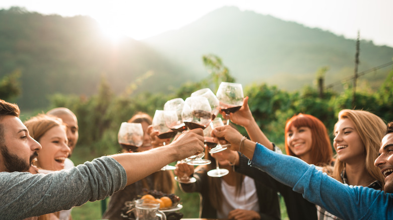 Group of young people toast wine glasses outside