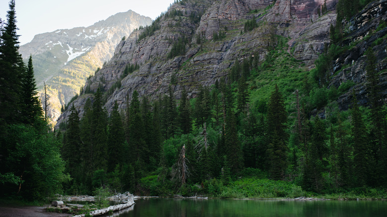 avalanche lake glacier national park