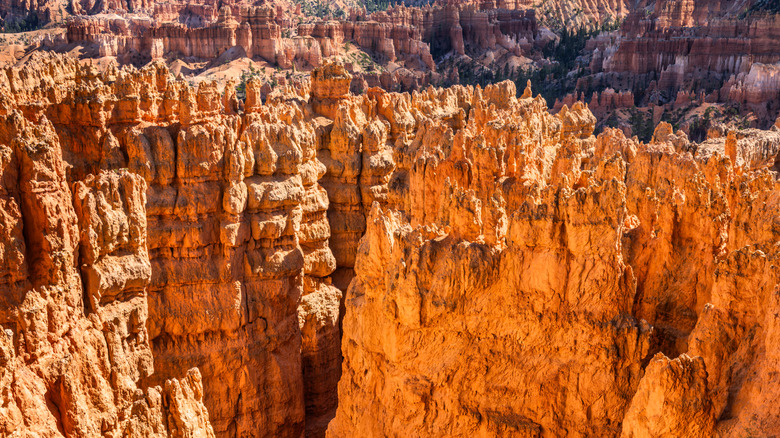 Sandstone rock spires at Navajo Loop