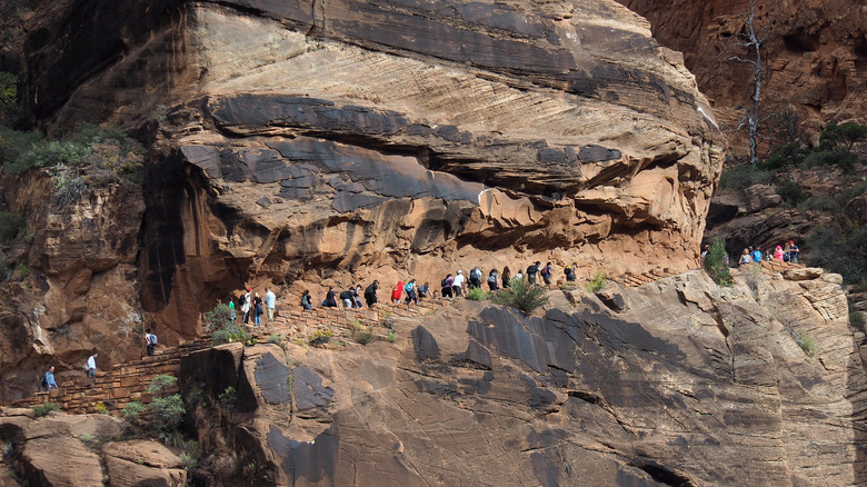crowded hiking trail zion national park