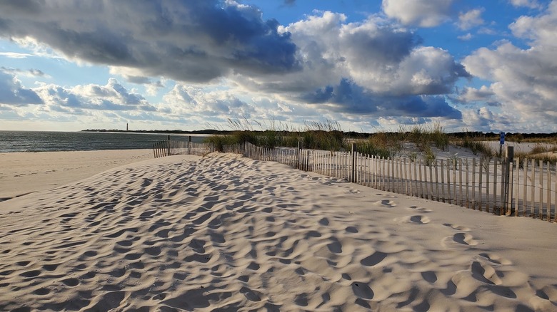 Cove Beach in New Jersey