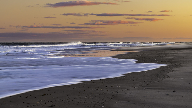 Waves crashing onto Island Beach State Park