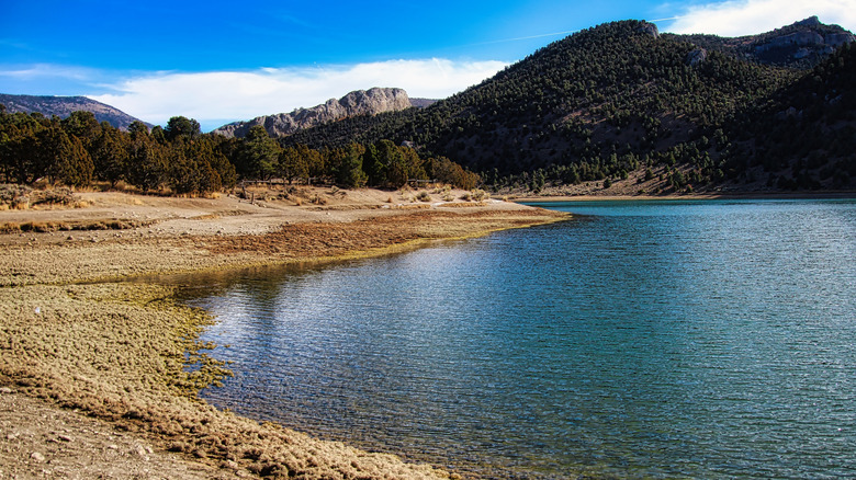 Autumn at Cave Lake State Park, Nevada