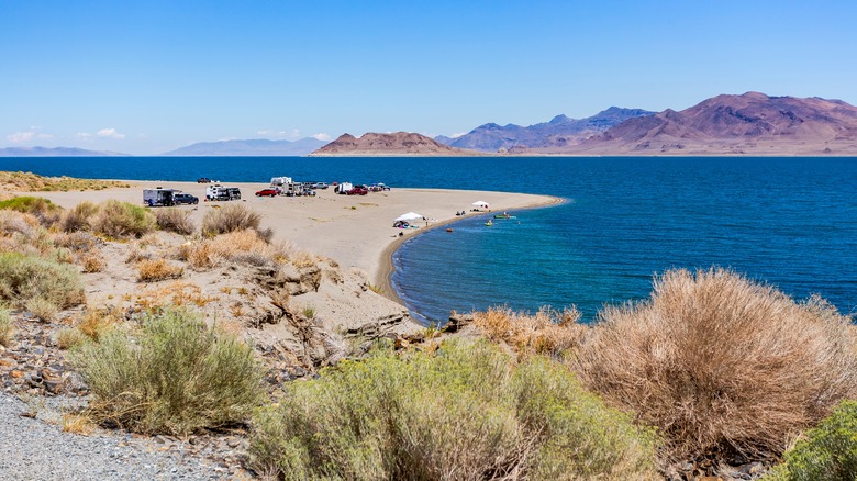 Campers and beachgoers at Pyramid Lake, Nevada