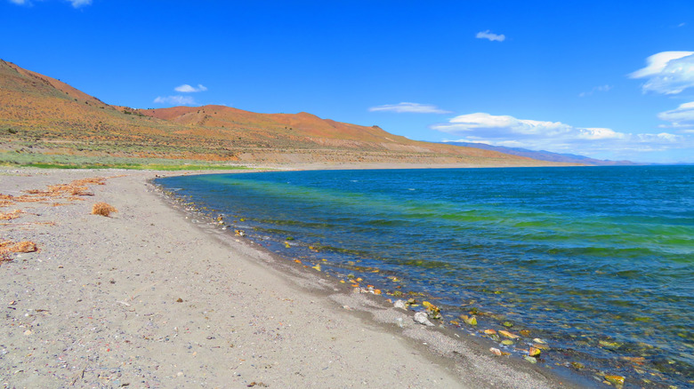 The sandy shoreline of Pyramid Lake, Nevada