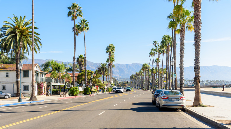 A street in Santa Barbara lined with palm trees
