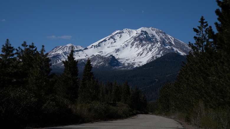 View of Mt. Shasta from the road