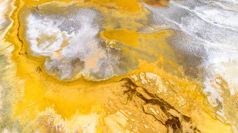 Orange pigmentation in river
