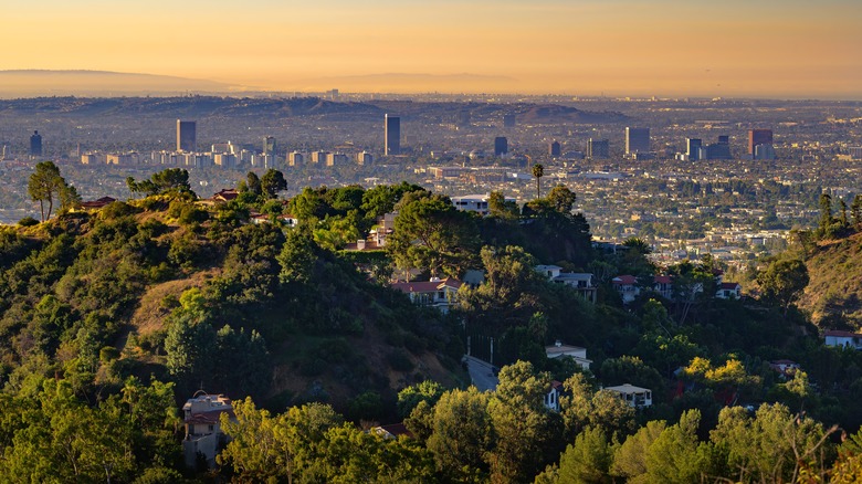 Los Angeles skyline from hills in Beverly Crest