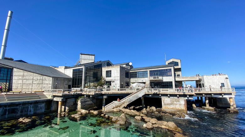 Monterey Bay Aquarium