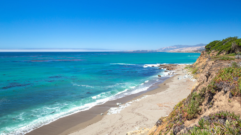 Piedras Blancas State Marine Reserve