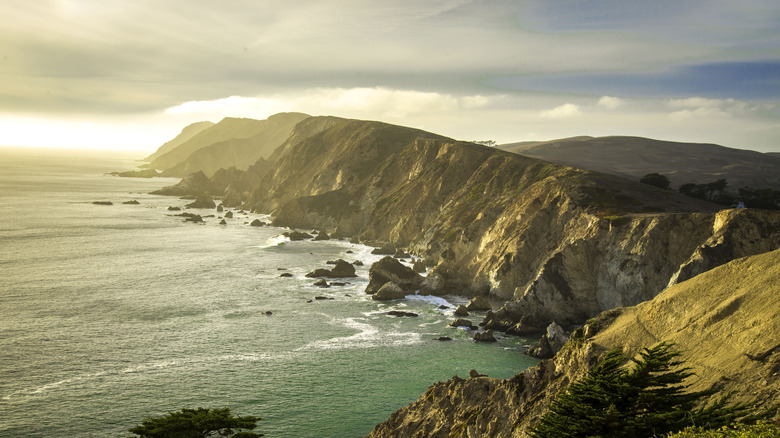 Point Reyes National Seashore cliffs