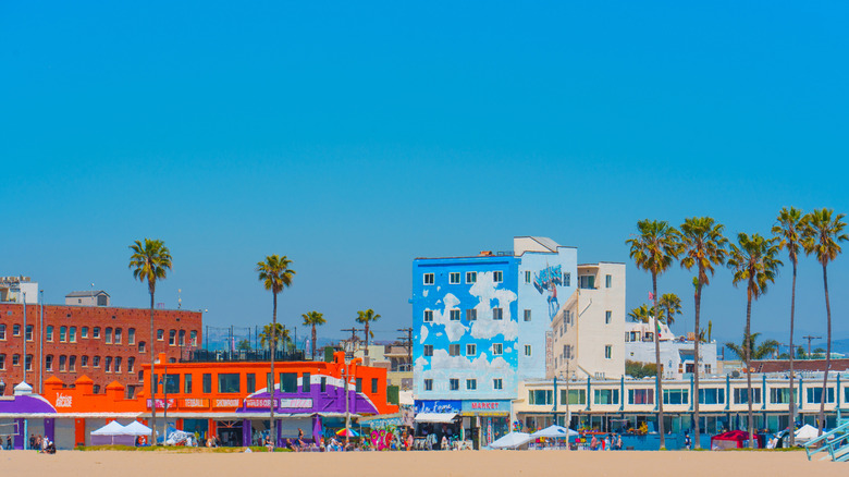 Beach at Venice, California