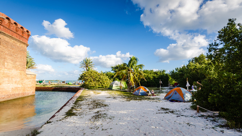 Tents set up for camping at Dry Tortugas National Park