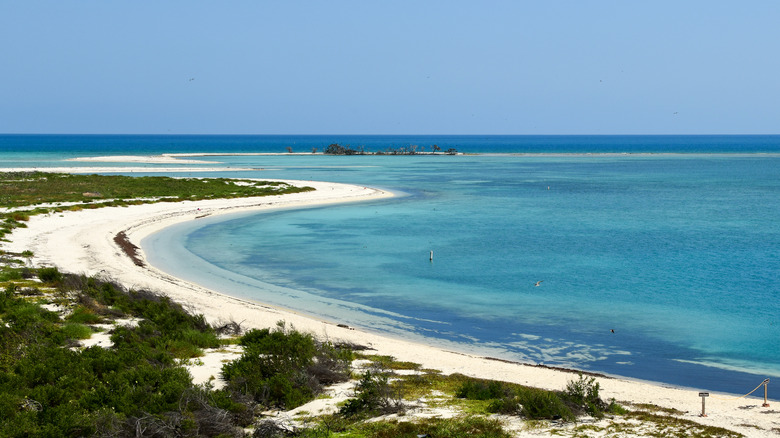 The tropical sandy beach, coast, and sea of dry tortugas national park