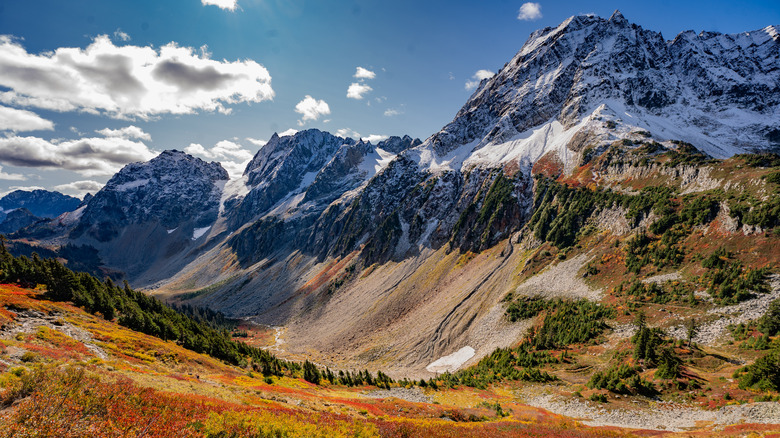 Snowy mountains and fall foliage at North Cascades National Park, Washington