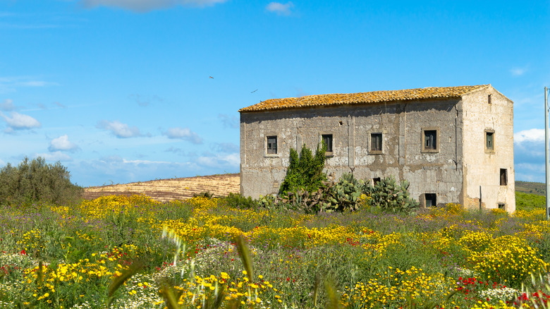 A home in rural Sicily, Italy
