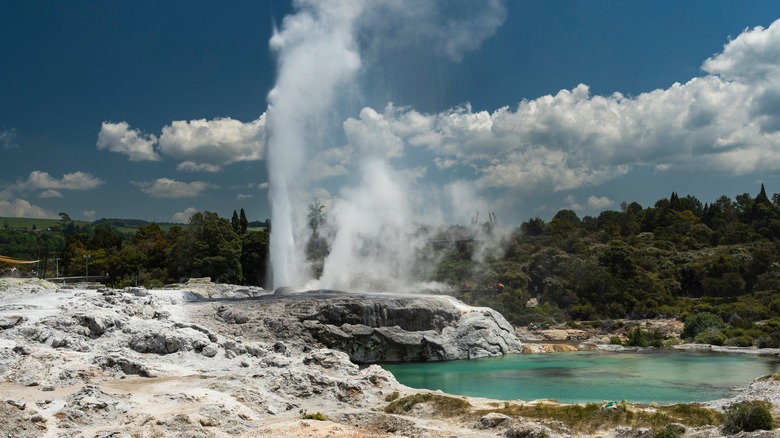 Pohutu Geyser in Rotorua, New Zealand