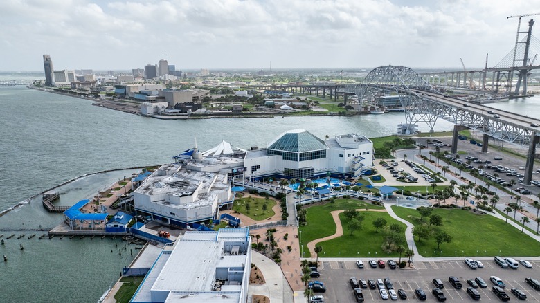 Aerial view of Corpus Christi, Texas