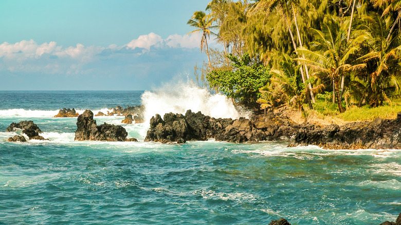 A view of Maui