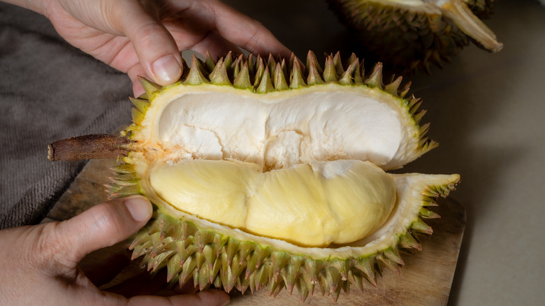 Close-up of hands opening a durian fruit