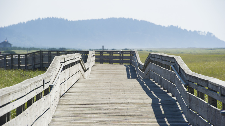 Boardwalk at Long Beach in Washington