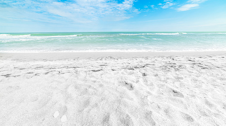 Siesta Key Beach's powdery sands